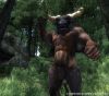 ElderScrollsIVOblivion 12